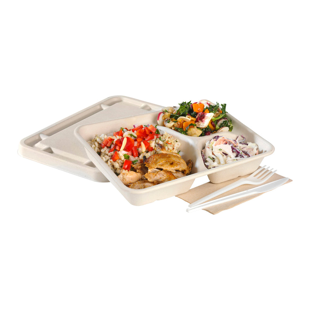 BioCane Takeaway Containers & Lids