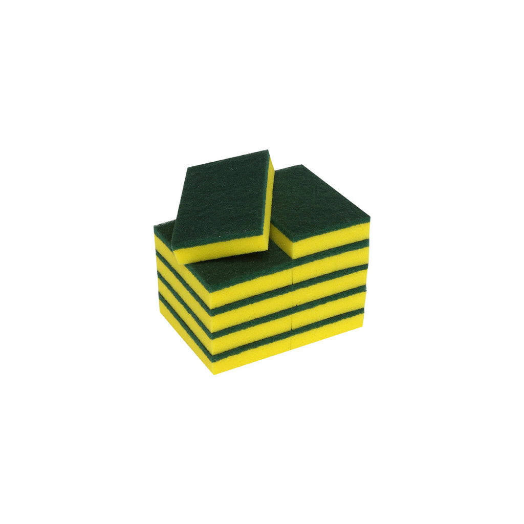 Sponges & Scourers