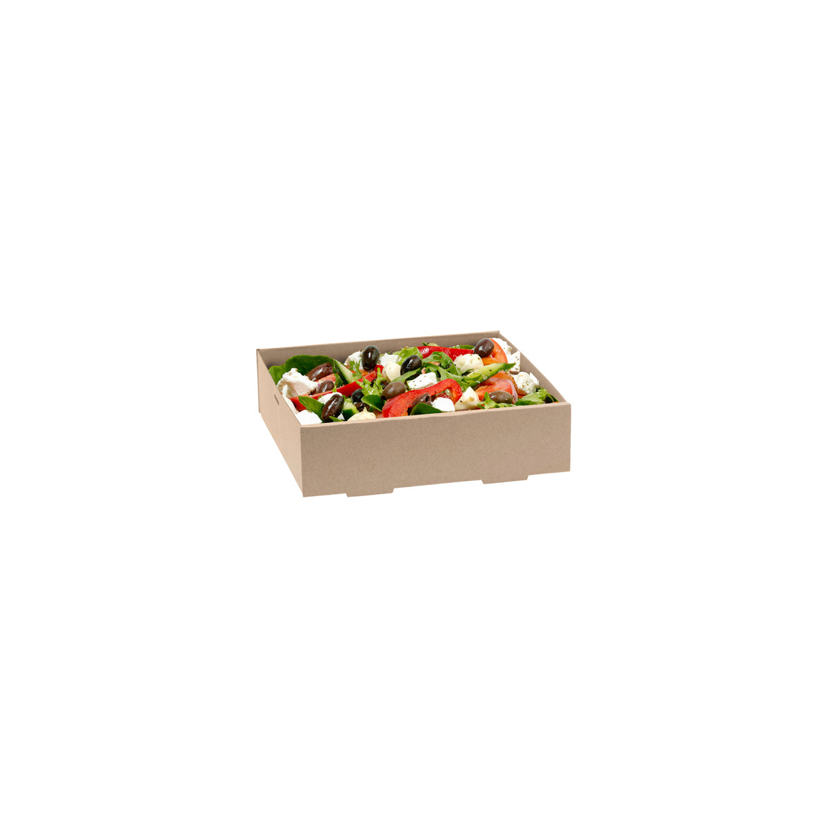 BP.BB-CB-S BioPak FSC BioBoard Catering Tray Small Base Kraft 225x225x60mm Globe Importers Adelaide Hospitality Supplies