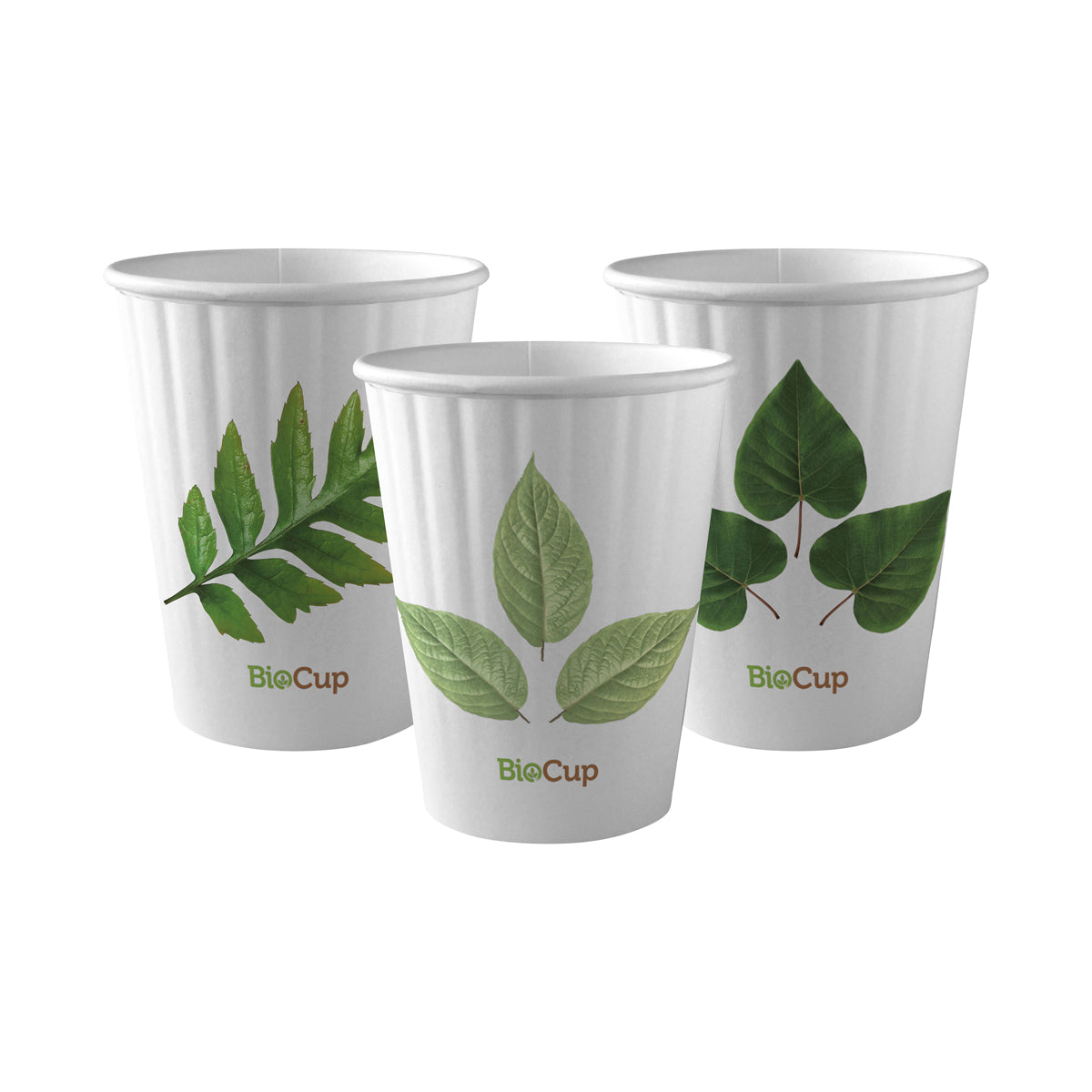 BP.BC-12DW BioPak Double Wall Leaf BioCup (90mm) 390ml / 12oz Globe Importers Adelaide Hospitality Supplies