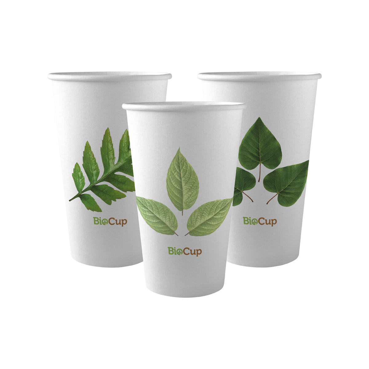BP.BC-16 BioPak Single Wall Leaf BioCup (90mm) 510ml / 16oz Globe Importers Adelaide Hospitality Supplies