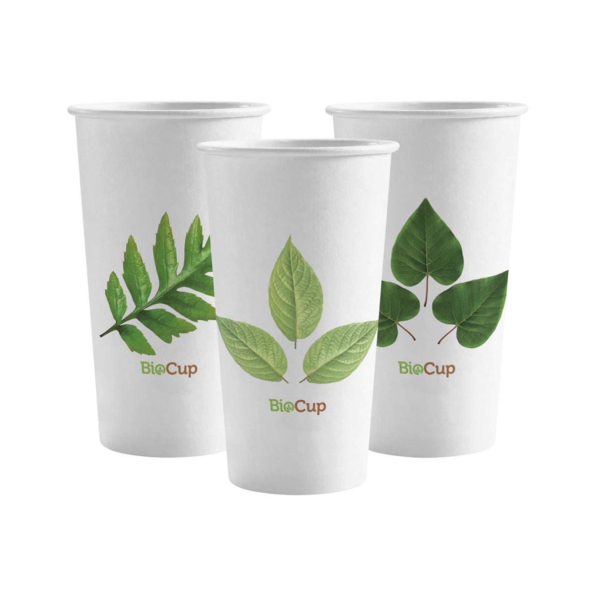 BP.BC-20 BioPak Single Wall Leaf BioCup (90mm) 595ml / 20oz Globe Importers Adelaide Hospitality Supplies