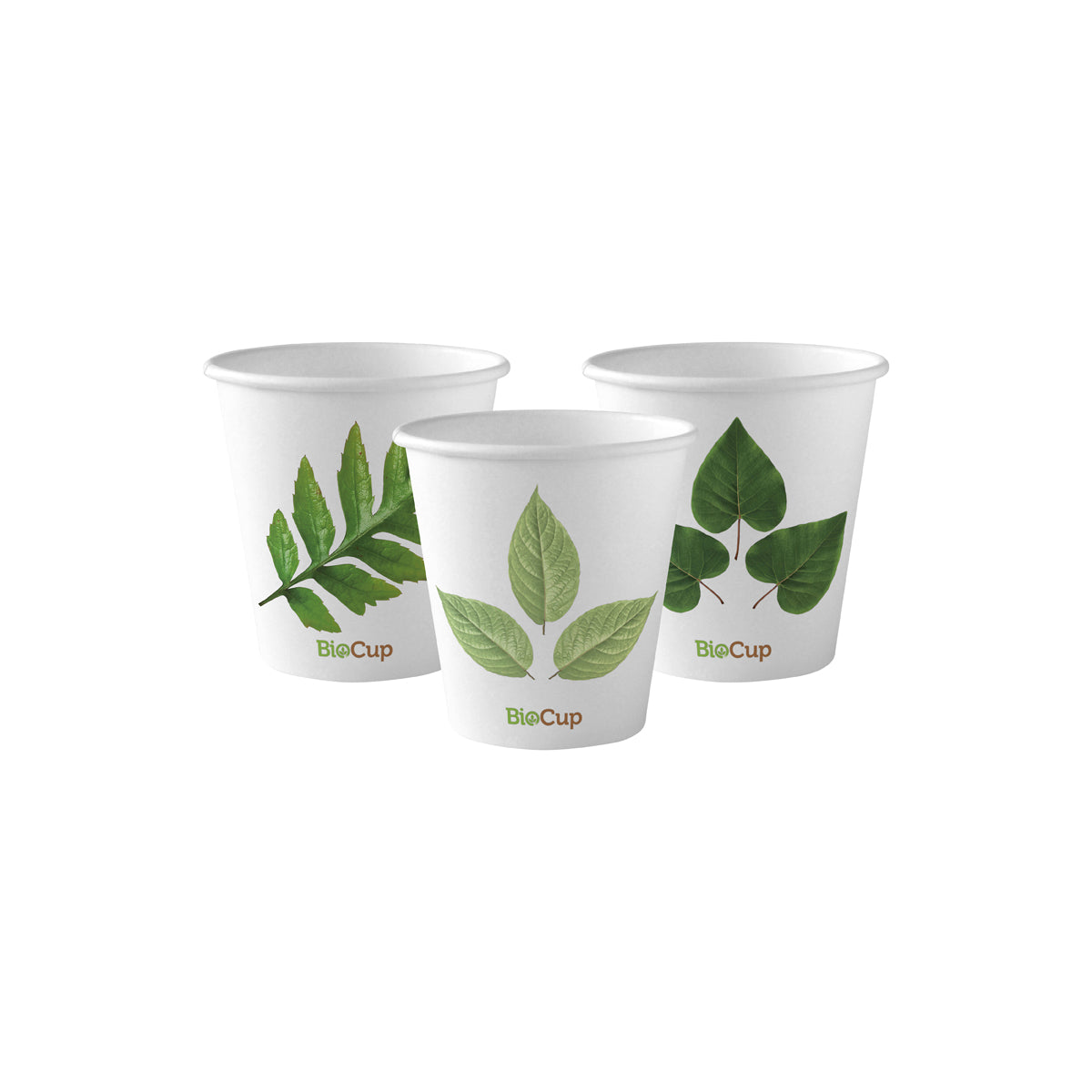 BP.BC-6 BioPak Single Wall Leaf BioCup 230ml / 6oz Globe Importers Adelaide Hospitality Supplies