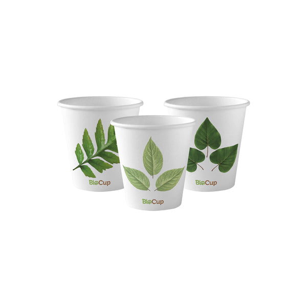 BP.BC-6 BioPak Single Wall Leaf BioCup 230ml / 6oz Globe Importers Adelaide Hospitality Supplies