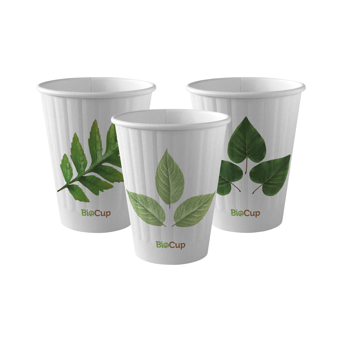 BP.BC-8DW BioPak Double Wall Leaf BioCup (80mm) 255ml / 8oz Globe Importers Adelaide Hospitality Supplies