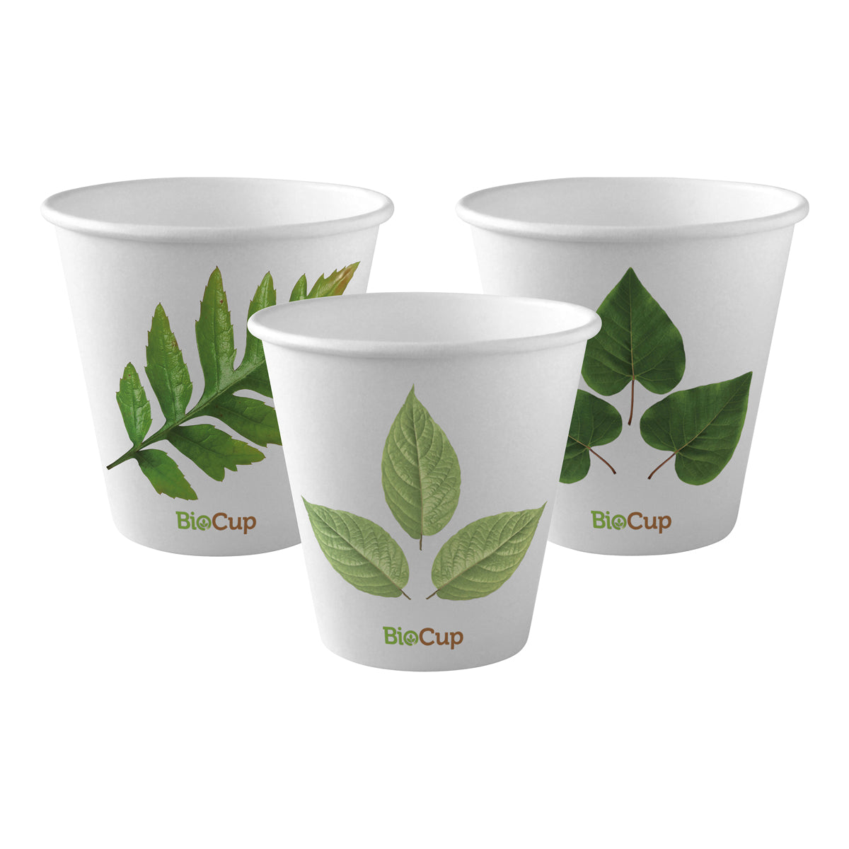 BP.BC-8(90) BioPak Single Wall Leaf BioCup (90mm) 280ml / 8oz Globe Importers Adelaide Hospitality Supplies
