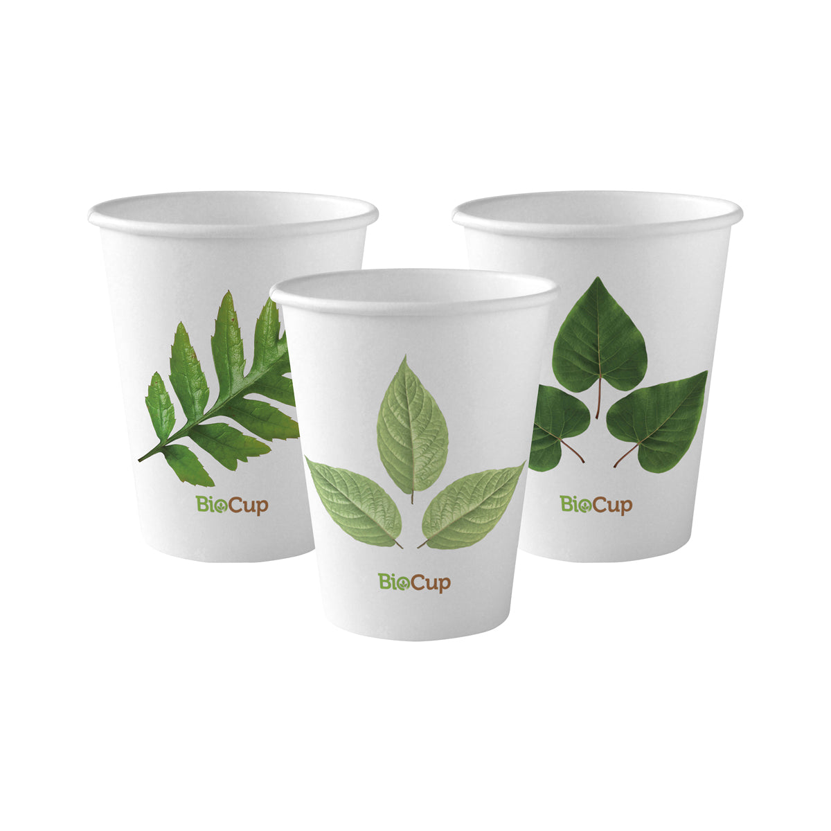 BP.BC-8 BioPak Single Wall Leaf BioCup 280ml / 8oz Globe Importers Adelaide Hospitality Supplies
