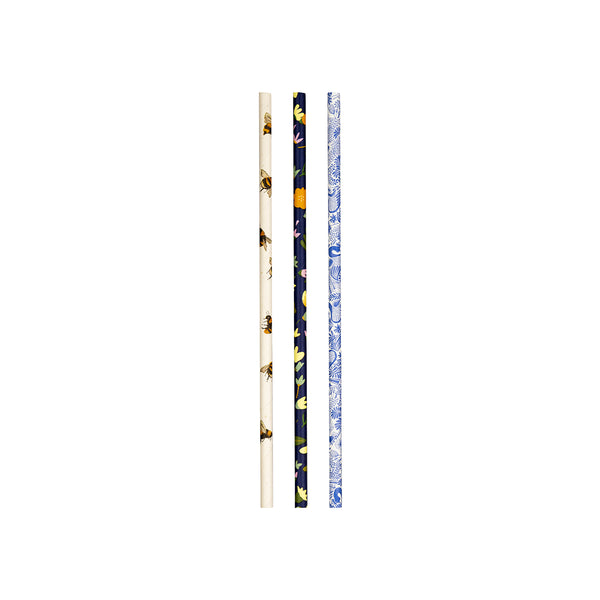 BP.JP-PBS-6x197-ART BioPak Regular BioStraw Paper Art Series 6x197mm Globe Importers Adelaide Hospitality Supplies