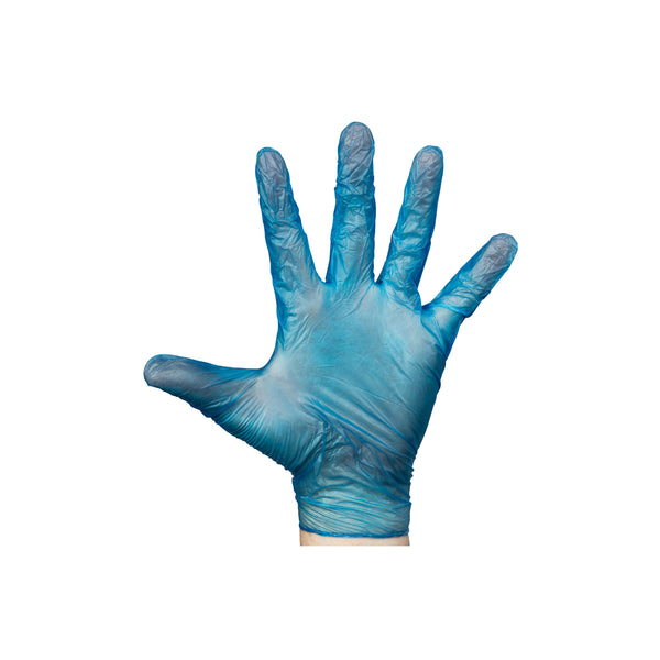 TGC.242912 Vinyl Gloves Blue Powder-Free Medium (100/pack) Globe Importers Adelaide Hospitality Supplies