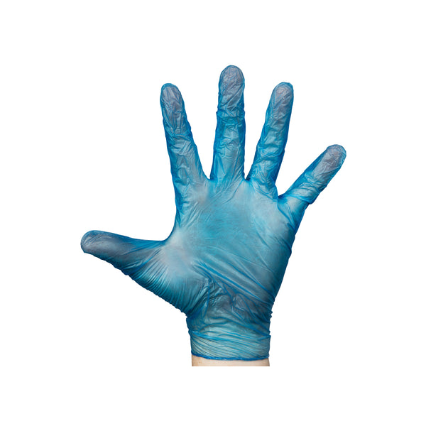 TGC.242913 Vinyl Gloves Blue Powder-Free Large  (100/pack) Globe Importers Adelaide Hospitality Supplies