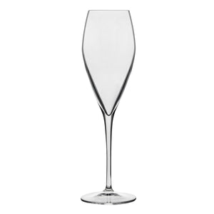 CC6608748 Luigi Bormioli Atelier Champagne Flute Globe Importers Adelaide Hospitality Suppliers